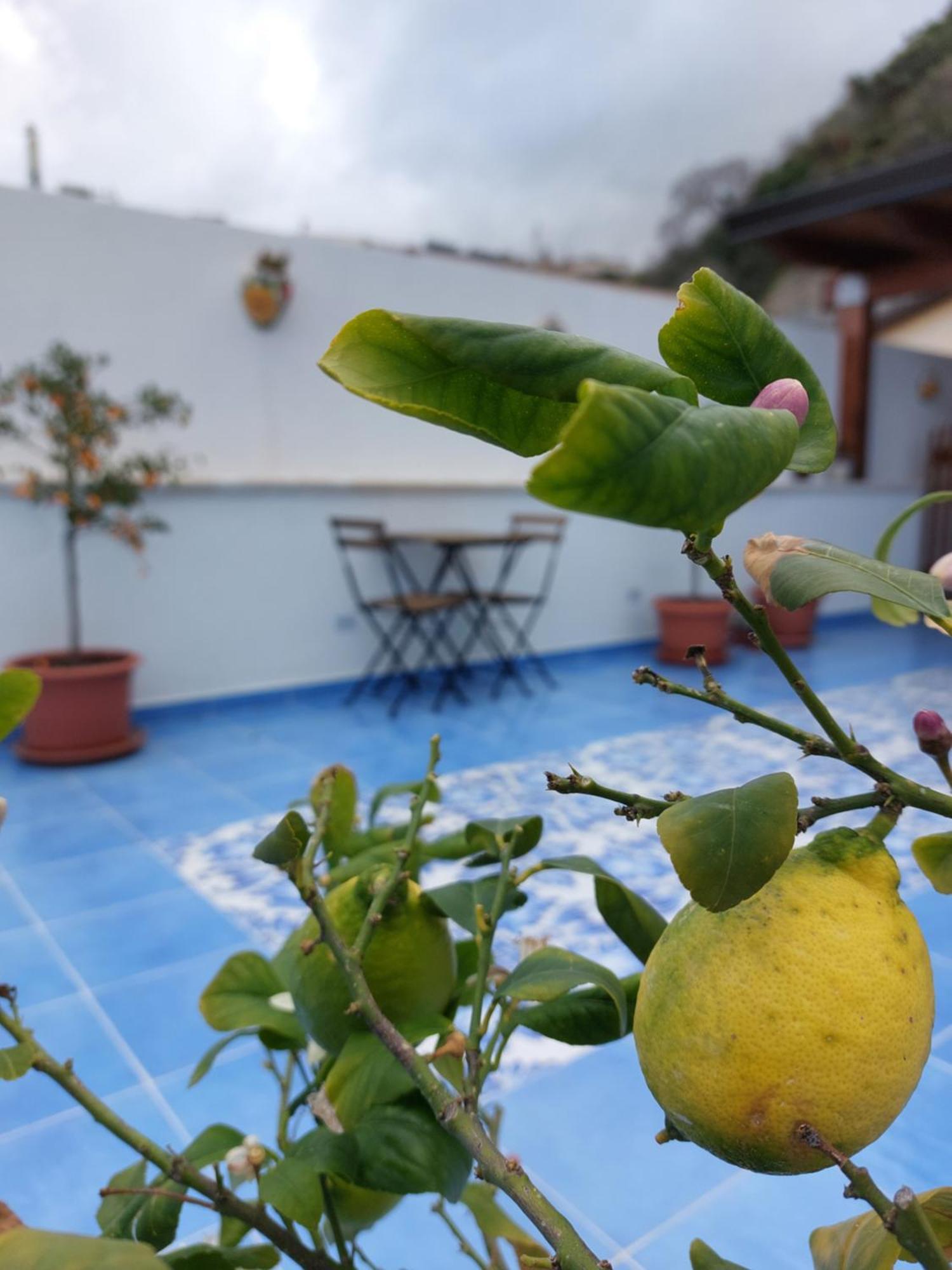 B&B La Filanda Scilla Εξωτερικό φωτογραφία