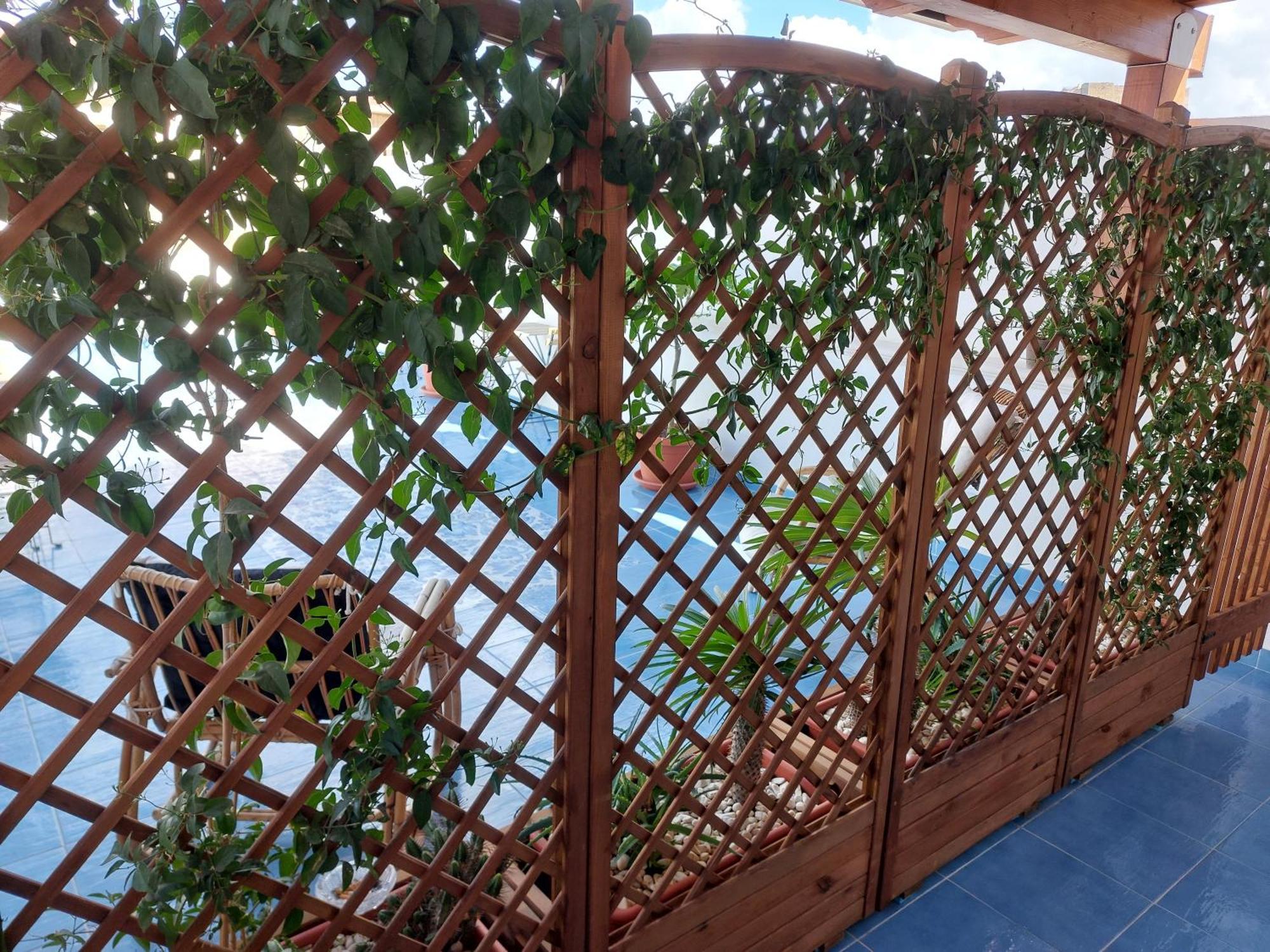 B&B La Filanda Scilla Δωμάτιο φωτογραφία